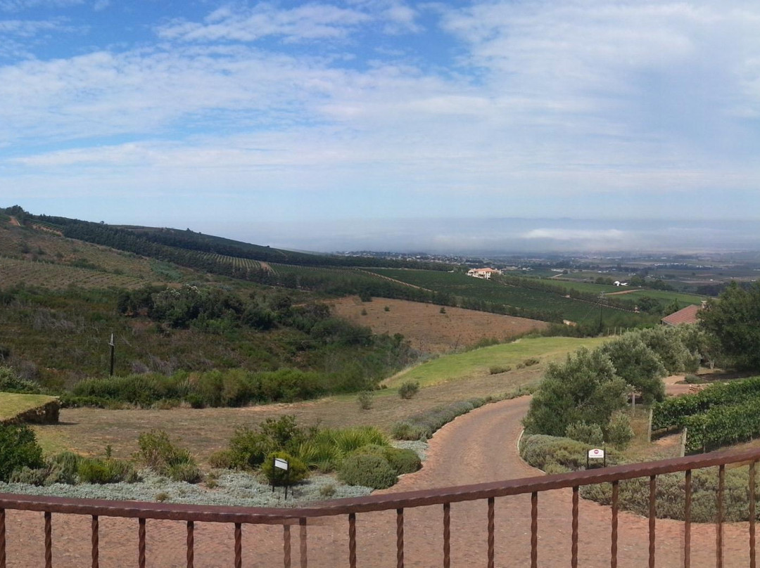 Uva Mira Mountain Vineyards-斯泰伦博斯必去景点