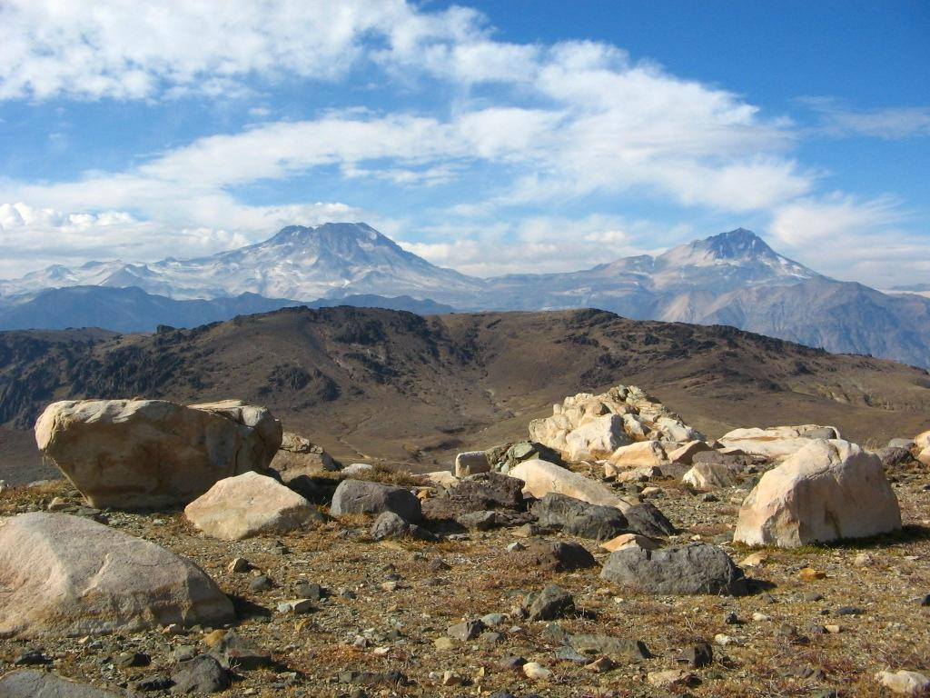 Alpaca Ciclismo-Curico必去景点