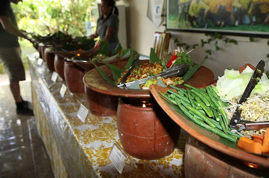 自行车游-乌布必去景点