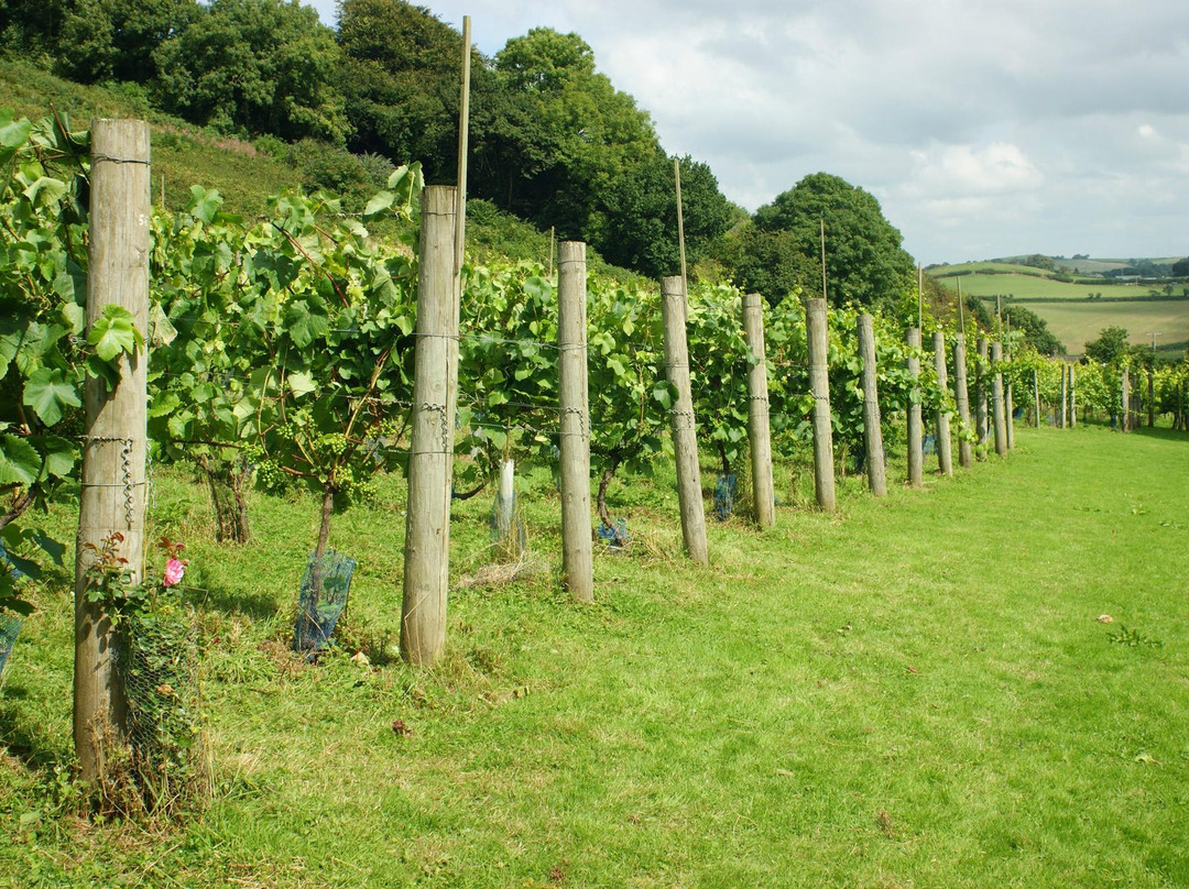 Quance Wines-Swimbridge必去景点