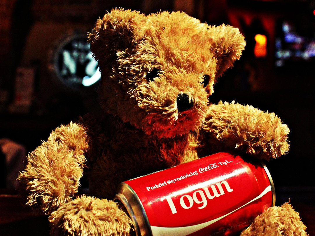 Pub Togun-托伦古镇必去景点