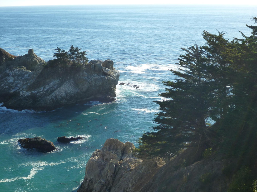 朱莉娅·菲佛·伯恩斯州立公园-大苏尔必去景点