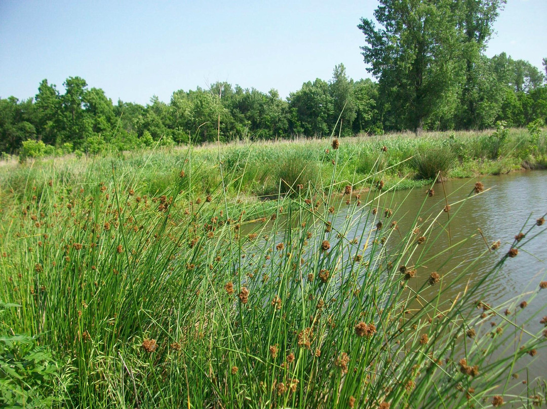 Mary K. Oxley Nature Center-塔尔萨必去景点