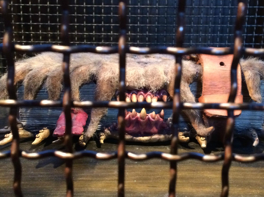 哈利波特魔法世界主题公园-奥兰多必去景点