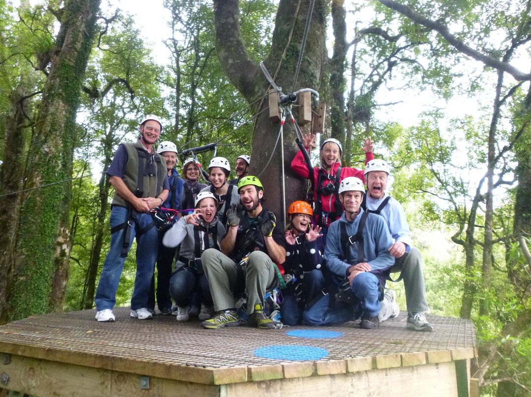 罗托鲁瓦树冠之旅-罗托鲁瓦必去景点