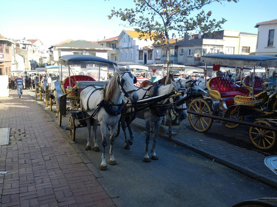 Princes' Islands-伊斯坦布尔必去景点