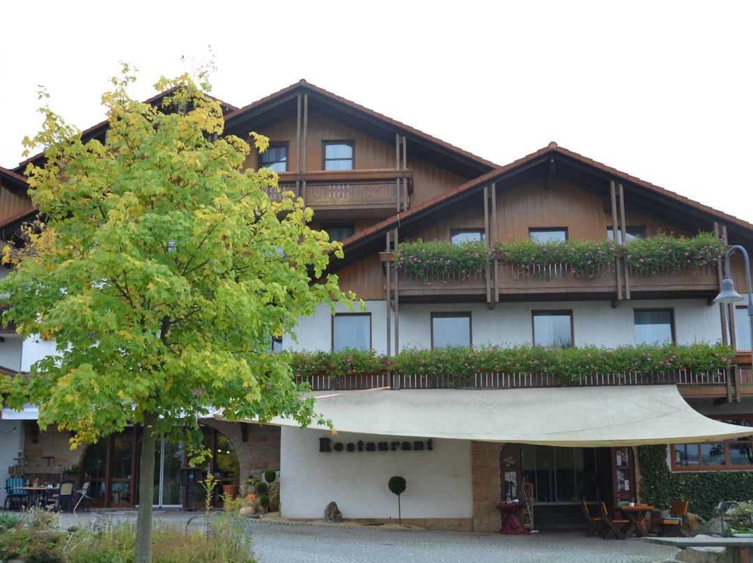 Petersberg旅游攻略图片