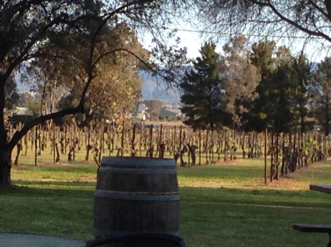 Mudgee Wines-马奇必去景点
