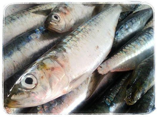 Pescados La Chucha-Lastres必去景点