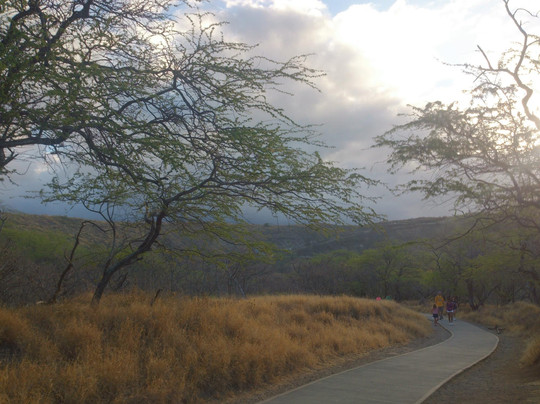 瓦胡岛自然冒险之旅-火奴鲁鲁必去景点