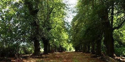 Poltimore House and Grounds-Poltimore必去景点