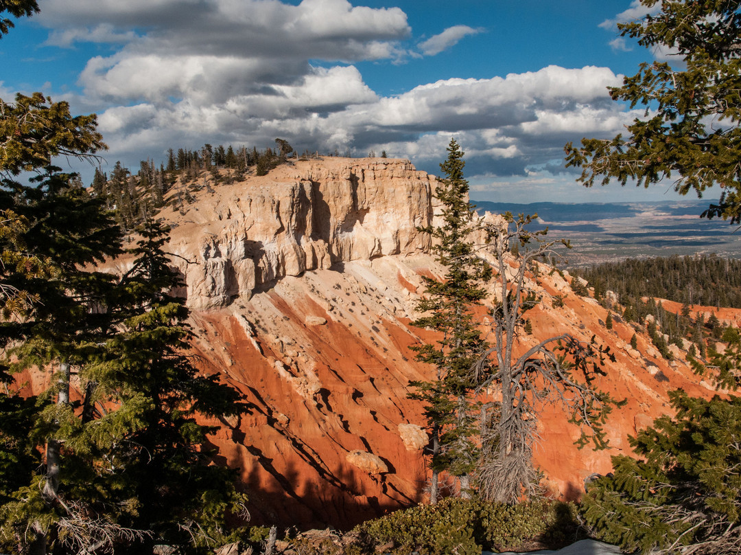Bristlecone Loop-布莱斯峡谷国家公园必去景点