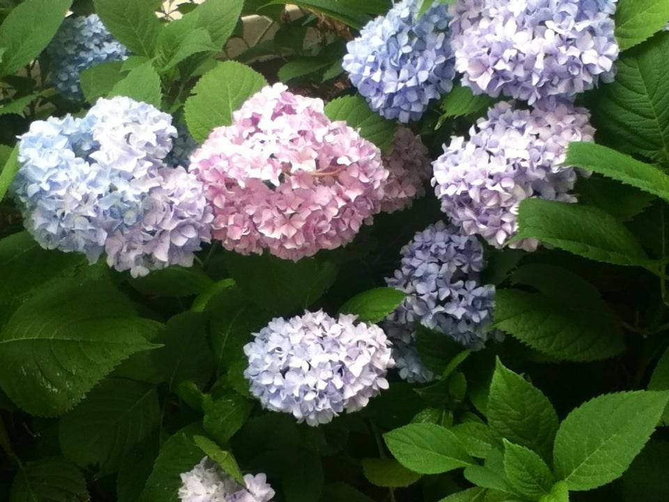 德国村-哥伦布必去景点