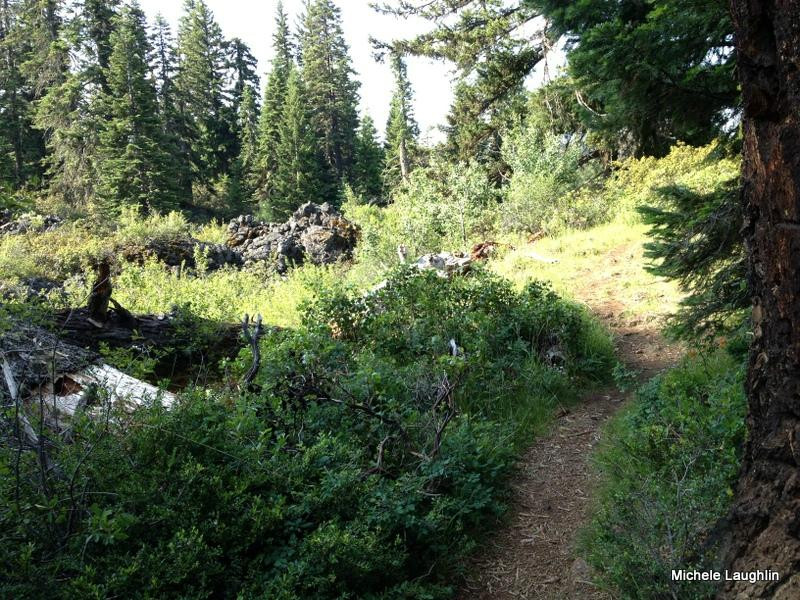 Fish Lake Resort-Eagle Point必去景点