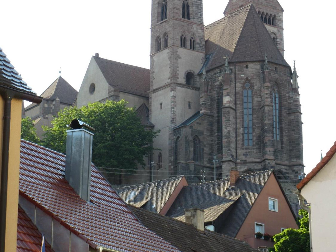 Breisacher Fahrgast Schiffahrt