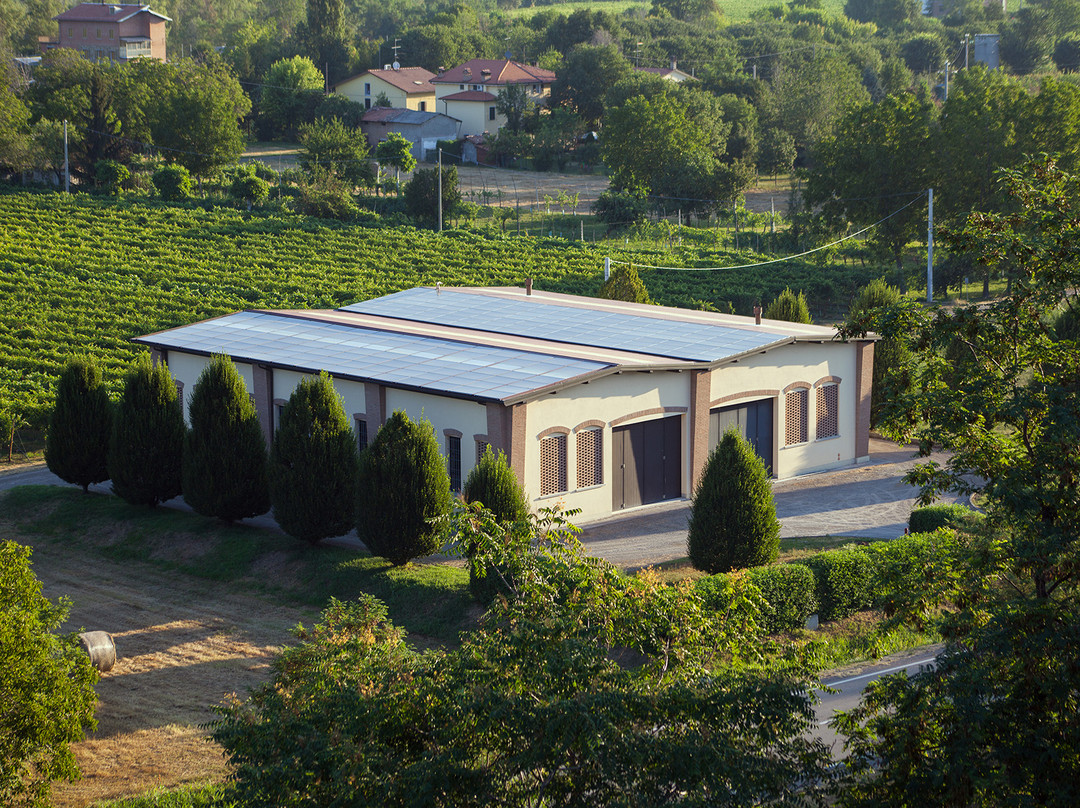 Tenuta Vandelli景点图片