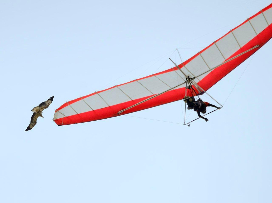 HangglideOZ-Stanwell Park必去景点