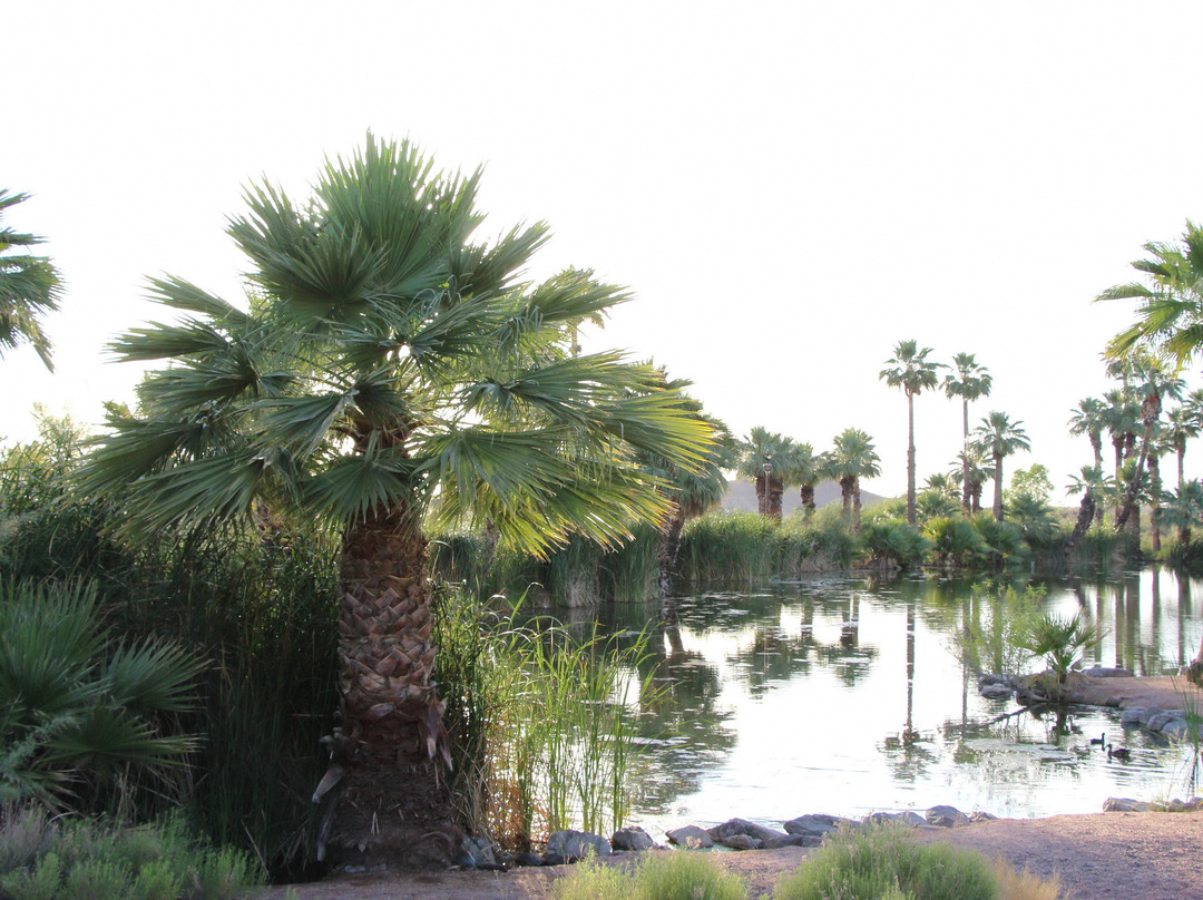 巴巴哥公园-凤凰城必去景点