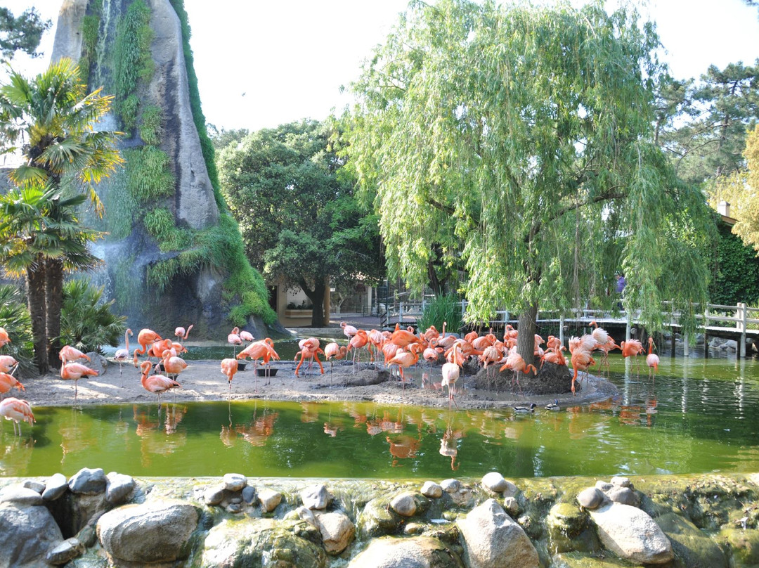Zoo de La Palmyre景点图片