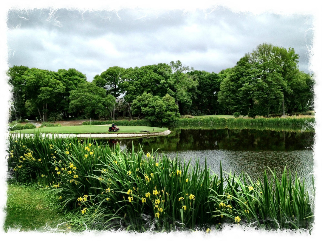 Oyster Bay Golf Links景点图片