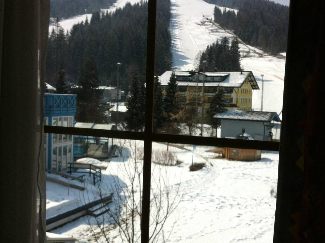Pension Larchenhof