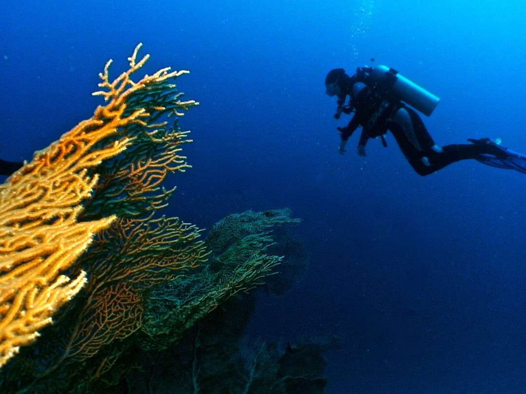 iDive Dahab-达哈卜必去景点