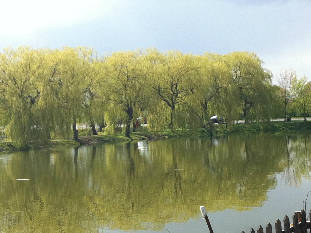 The Natural World Centre, Whisby景点图片