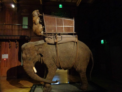 自然历史博物馆-巴黎必去景点