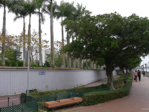 沙田公园-香港必去景点