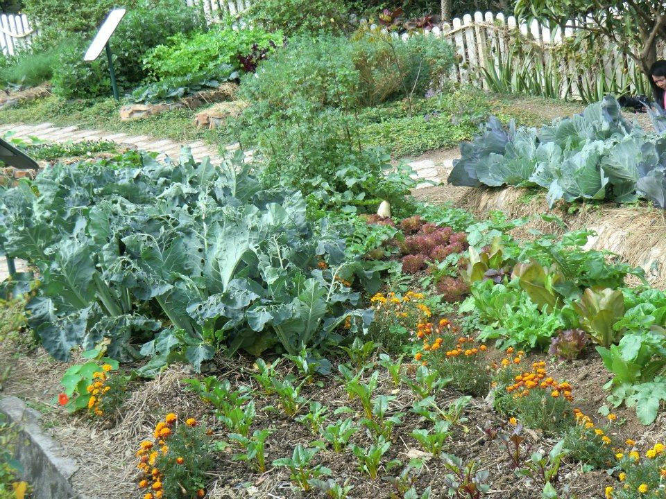 嘉道理农场暨植物园-香港必去景点