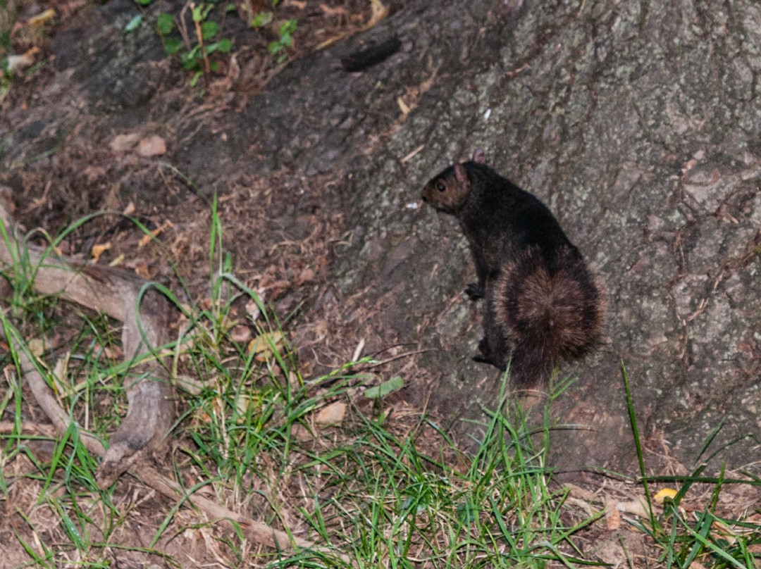 宪法花园-华盛顿特区必去景点