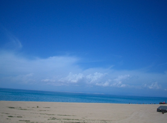 青海湖沙岛景点图片
