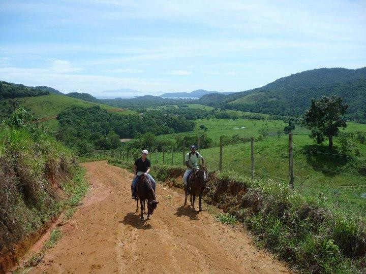 Raul Sampaio Horses4u