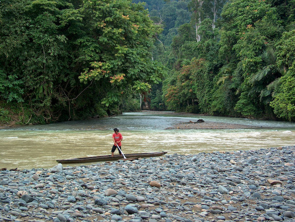 Tangkahan Jungle Lodge