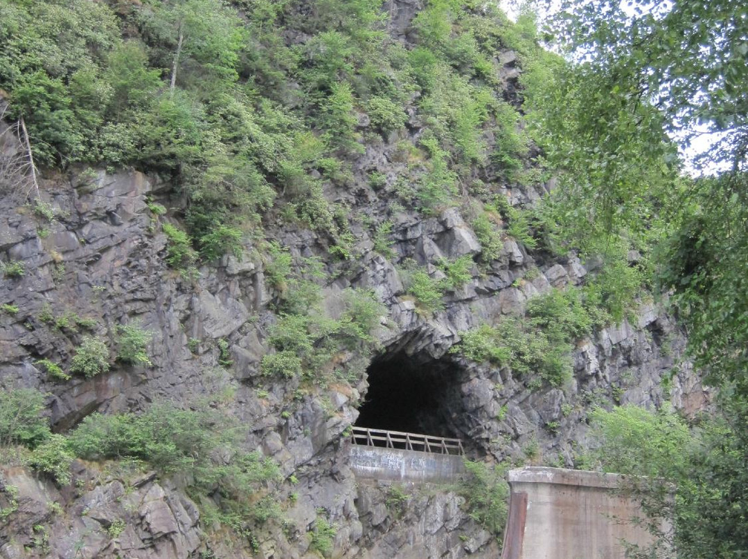 Blue Mountain Sports & Wear-吉姆索普必去景点