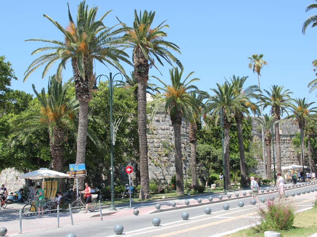 Kos Town Castle-Kos Town必去景点