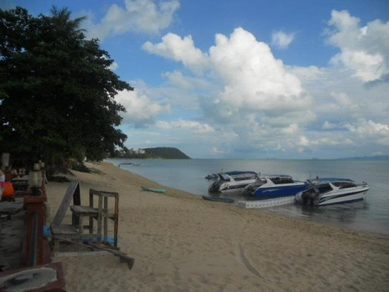 In Sea Speedboat-波普特必去景点