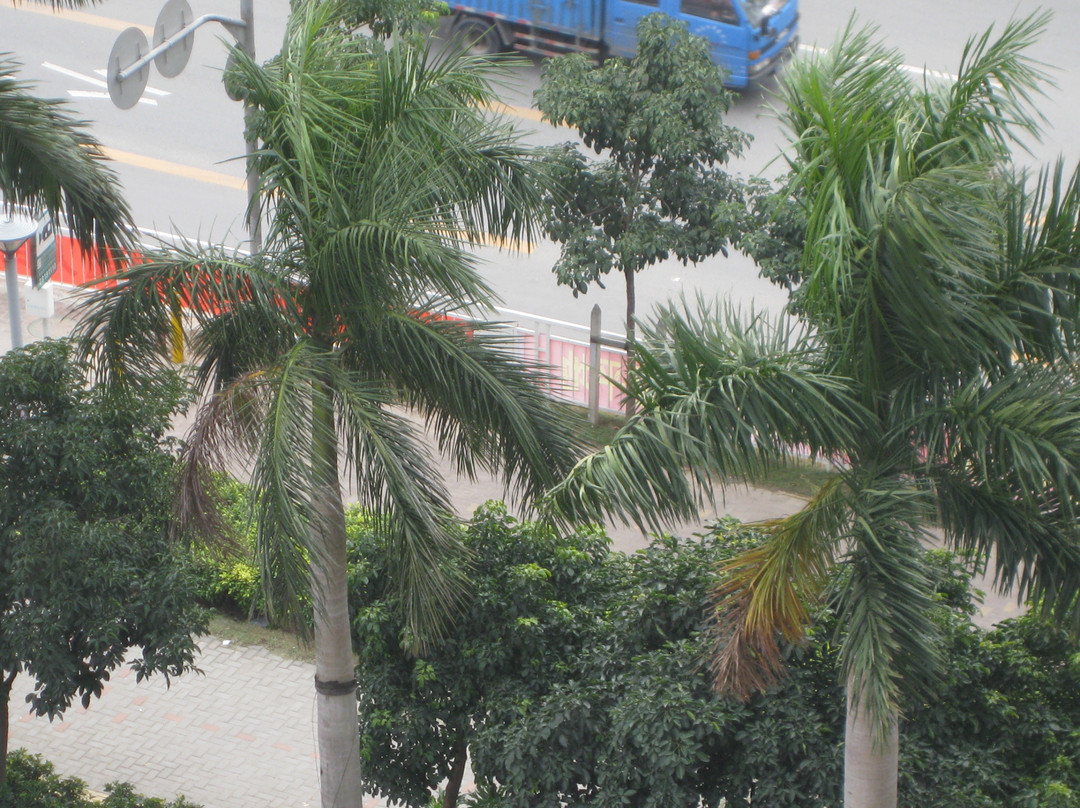 深圳维也纳酒店民治店主图