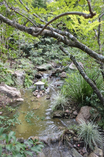 Morikami Museum & Japanese Gardens-德拉海滩必去景点