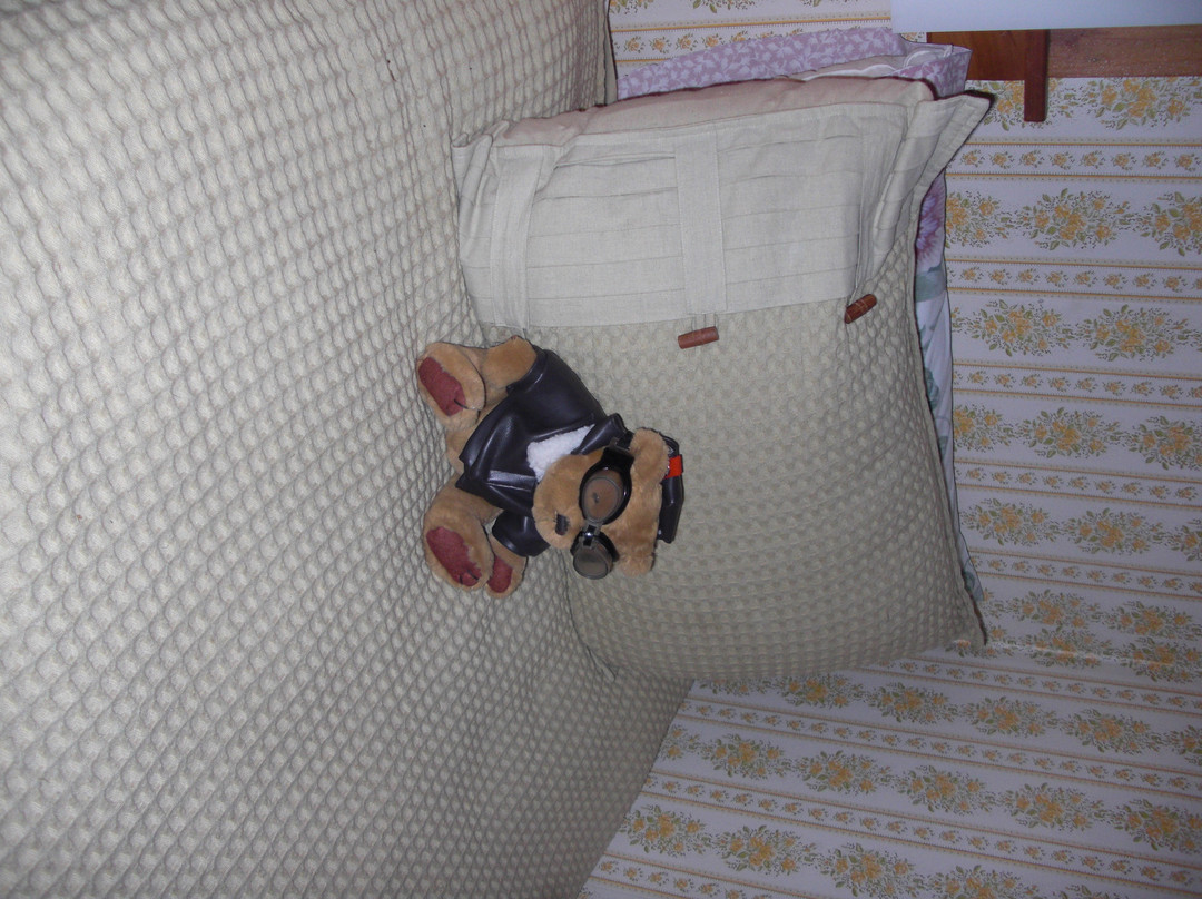 Bears Lair Inn主图