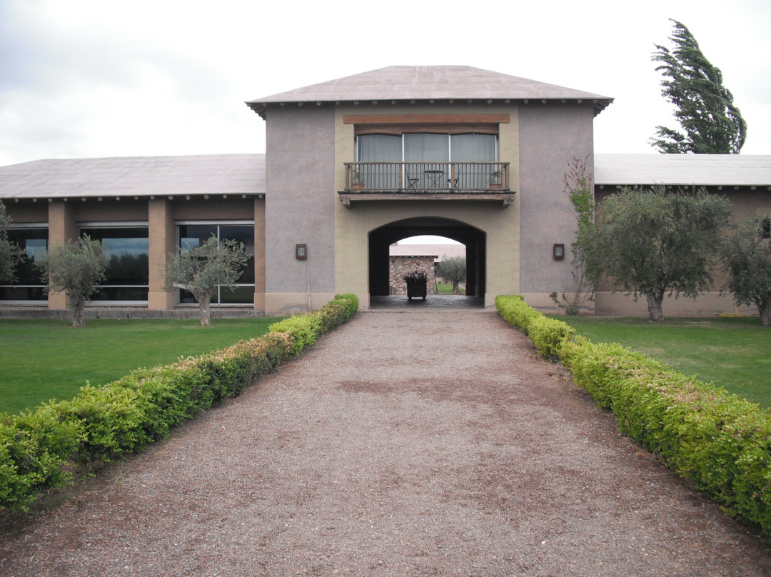Vendimia Wine Tours-门多萨必去景点