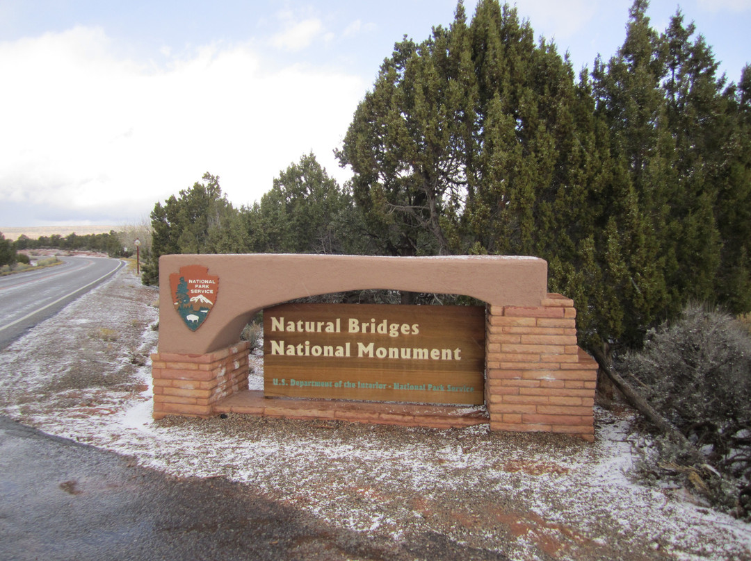 Natural Bridges National Monument-布兰丁必去景点