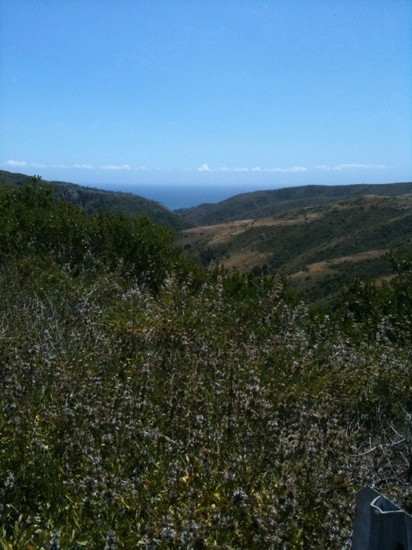 Aliso & Wood Canyons Wilderness Park-拉古纳尼格必去景点