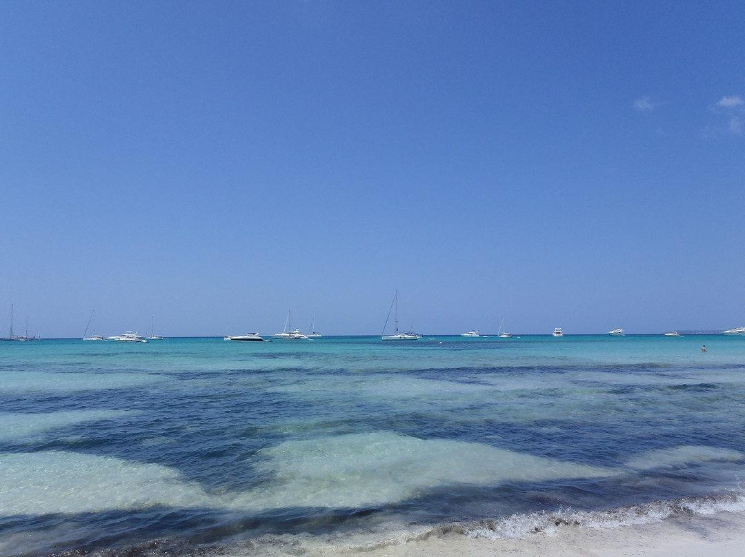 Platja d'es Trenc-Campos必去景点