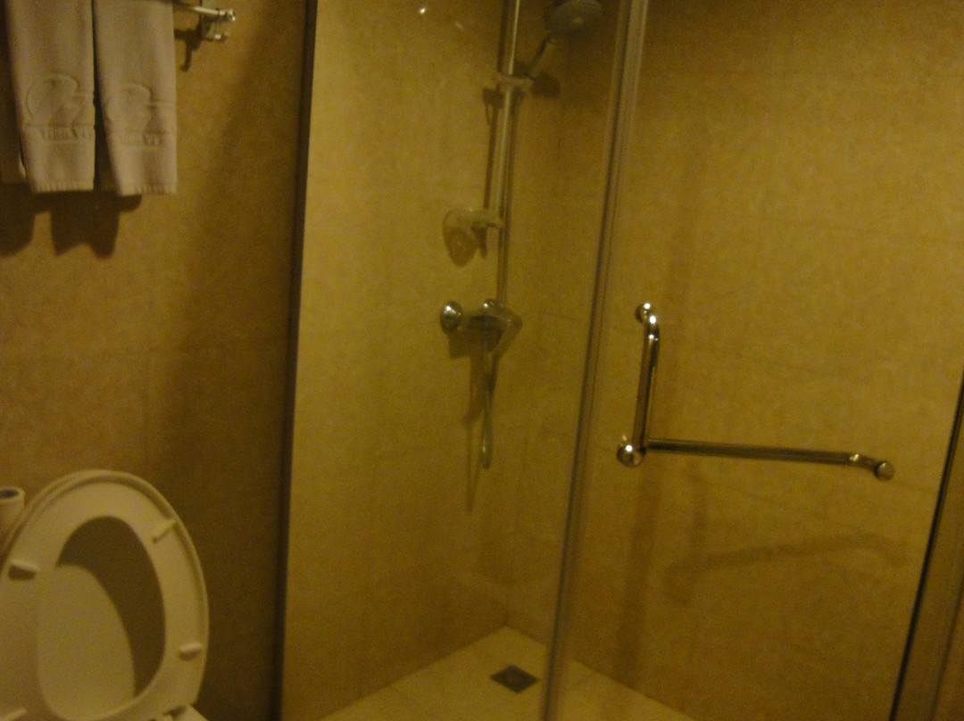 天一大酒店主图