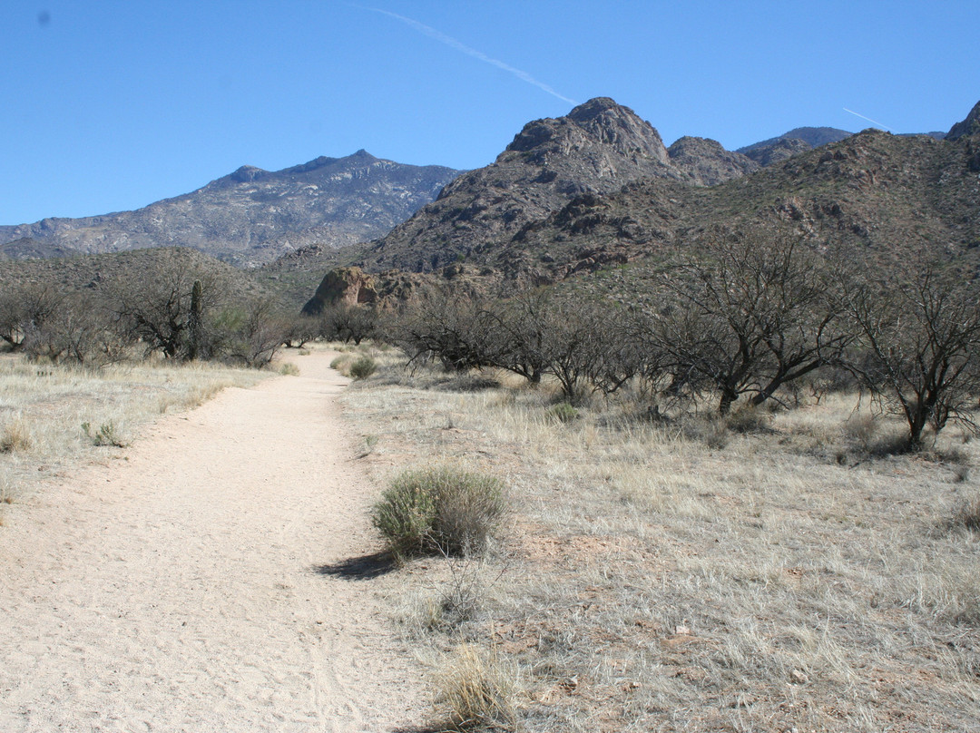 Catalina State Park-图森必去景点