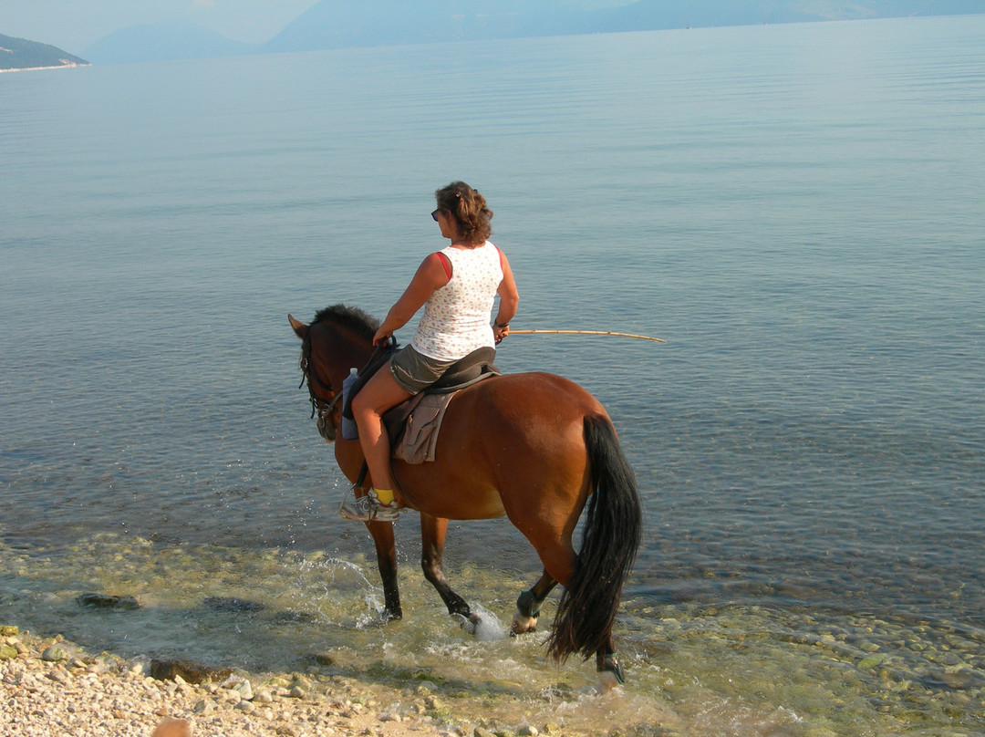 Bavarian Horse Riding Stables-萨米必去景点