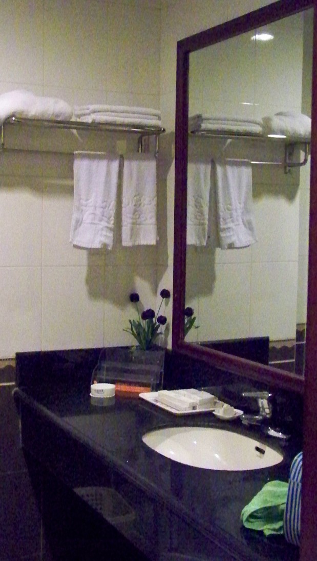 都江古堰二王庙宾馆-客卧