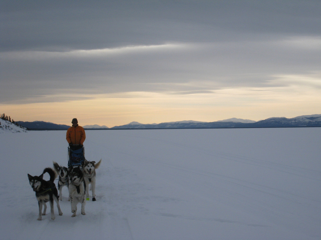 Muktuk Adventures-白马市必去景点