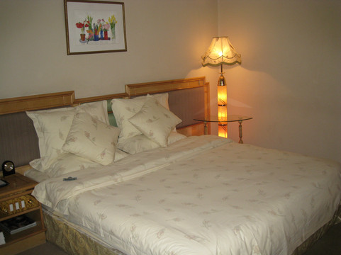 潍坊国际金融大酒店（世界风筝广场世纪泰华购物广场店）主图